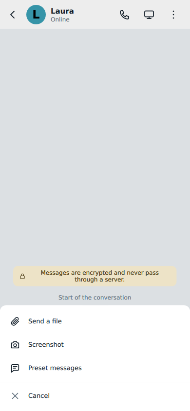 Il menu + del campo del messaggio aperto: Send a file, Screenshot e Messaggi predefiniti
