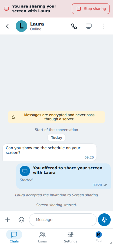 La barra sopra la chat: You are sharing your screen with Laura e Stop sharing
